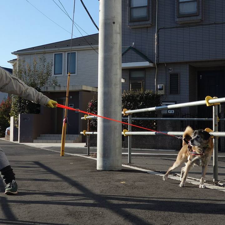 F80320fa a0bc 4883 a11e d1b74bff4285 1626309453593