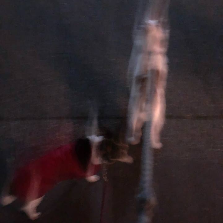 F803315f 57f6 40c6 a75b aae891f84ce4 1581769041465