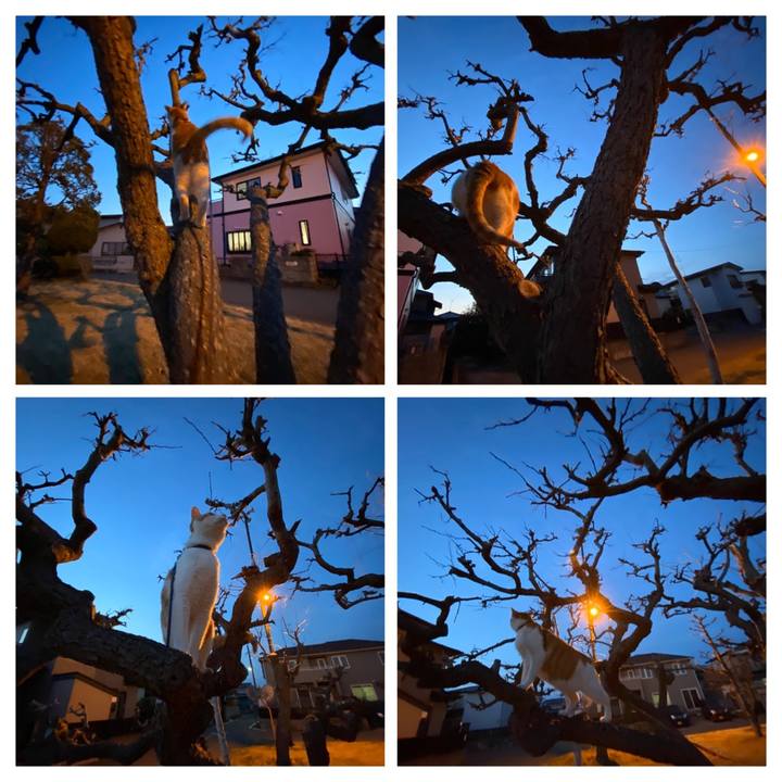 F8033a92 4091 488f b28a 1219b06d7723 1583573539802