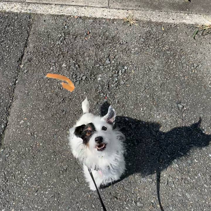 F8039e97 562f 432a 9323 7449ca7df5d7 1666488151051