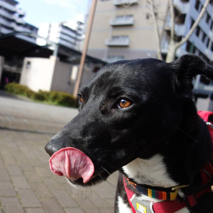 F8039ef9 0310 45fe ba04 076a32ee3c80 1584404220445