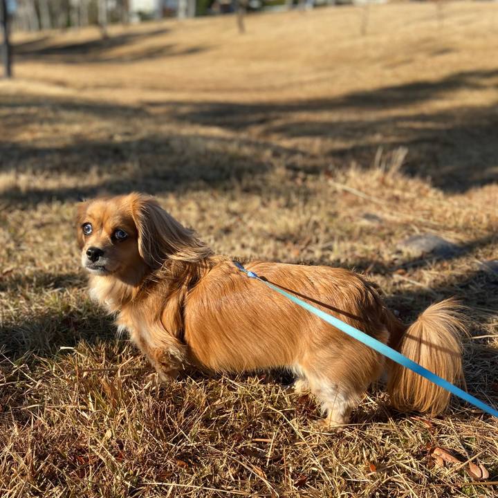 F803d89d f309 4d7e 95e8 2924318e7be5 1575766936852