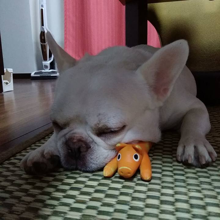 F8044e99 f77f 4eea bc7a b70b72f13d78 1598781875642