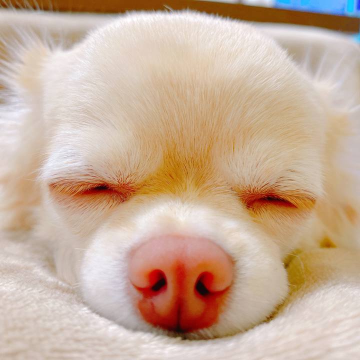 F804520e bcd6 48f4 9bf1 9aed5fc5e5c0 1641728651809