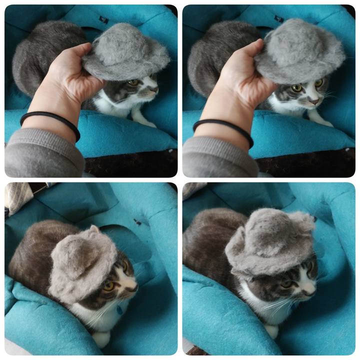 F8048f76 f130 44be aedb 7a04dbd85534 1582598765831