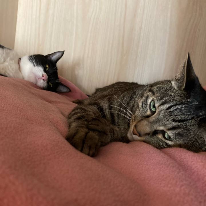 F804c207 b129 4d4b a6ff 8ac48fbb1443 1621489720895