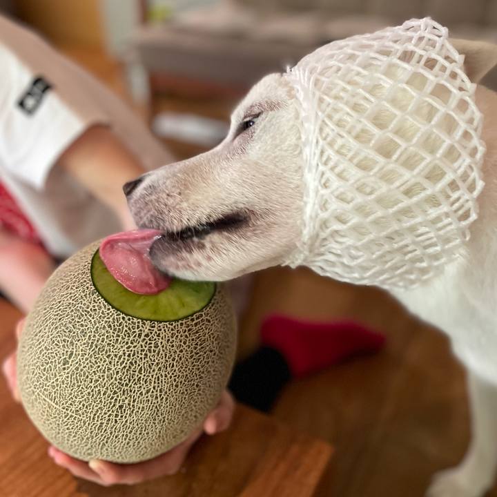 F804e4b2 8a3a 424d b457 f57c43709308 1653806909133