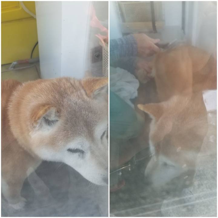 F804e65d 3fd7 4031 9ab3 c4a04298efc2 1740447623138