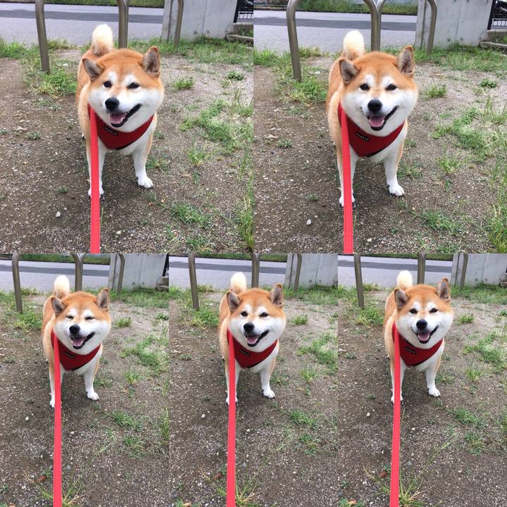 F8052259 cd9e 4d01 839c cc962cbed7b4 1599353844142