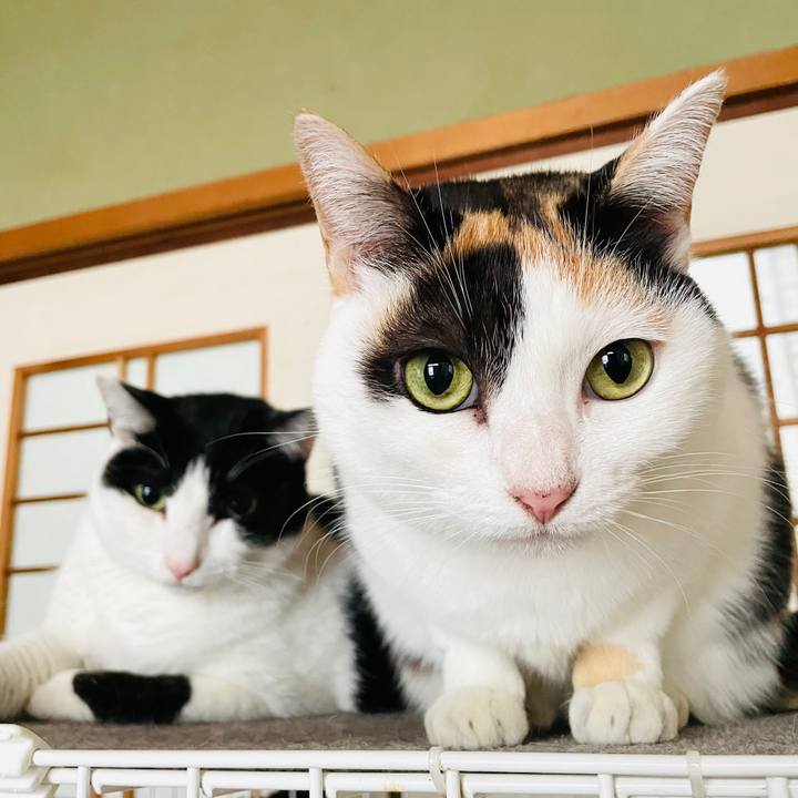 F80526db 3fd8 4e5b 9251 04c24b05ef89 1607221656380