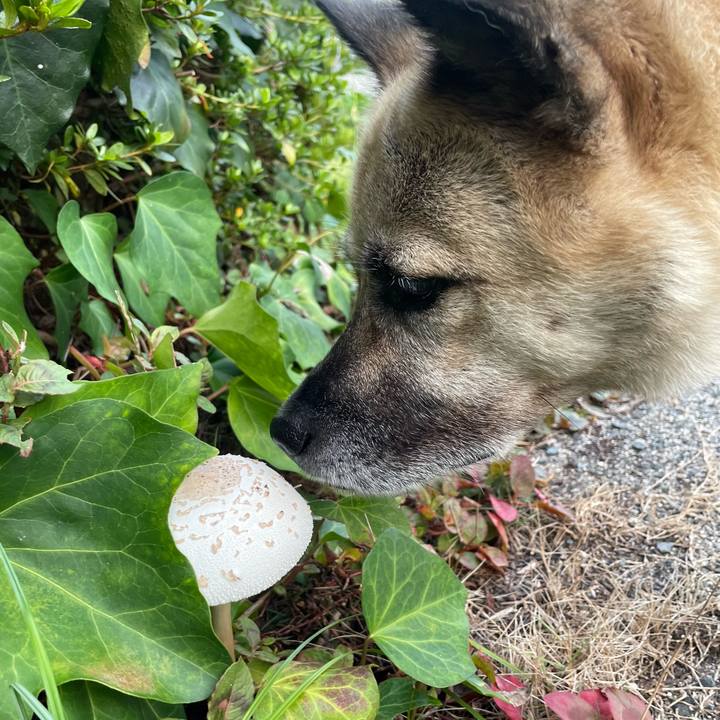 F8052846 359d 4f77 baf5 33c79265a4a7 1661171691800