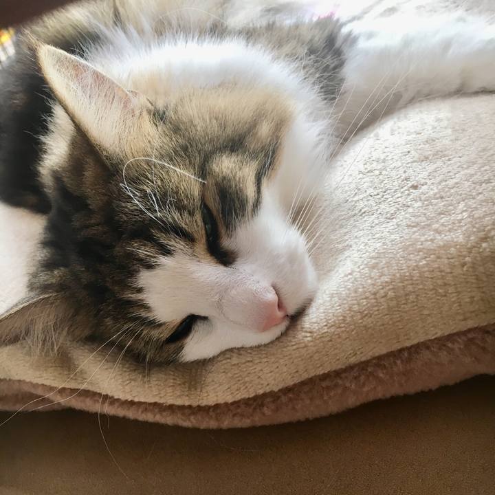 F80533a7 382a 4373 b9c8 174adf416df4 1542085606256