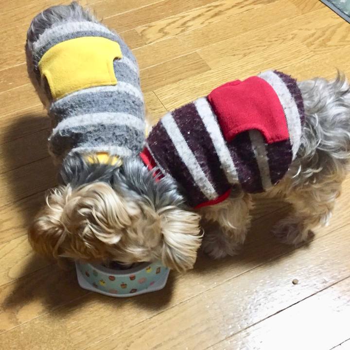 F80571b8 aed0 45a9 ab98 3ec1235de704 1541809688406