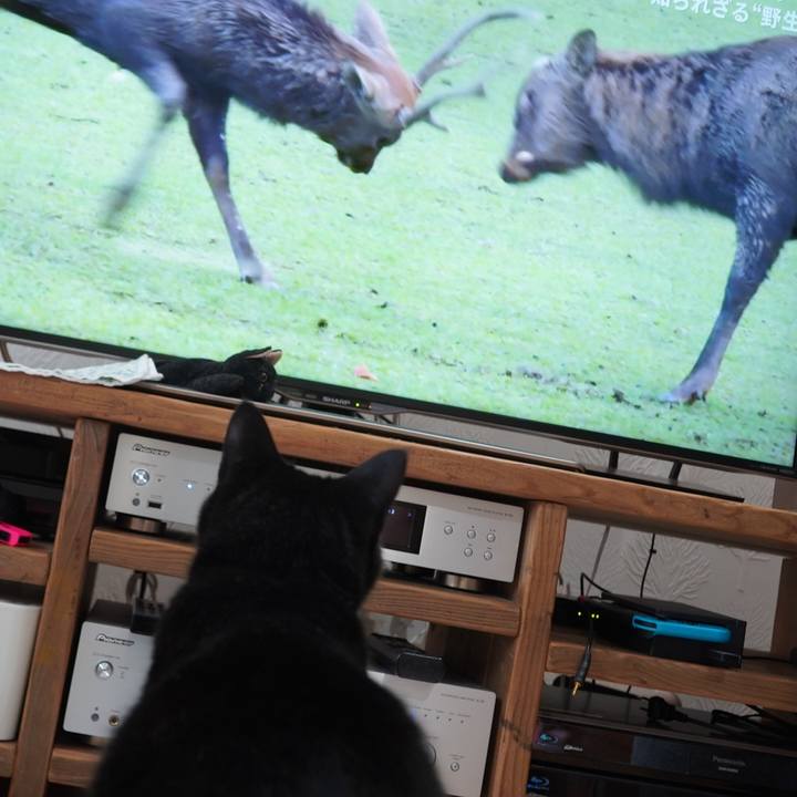 F8057de7 66fc 4254 9222 18bbf83ccb16 1597065036799