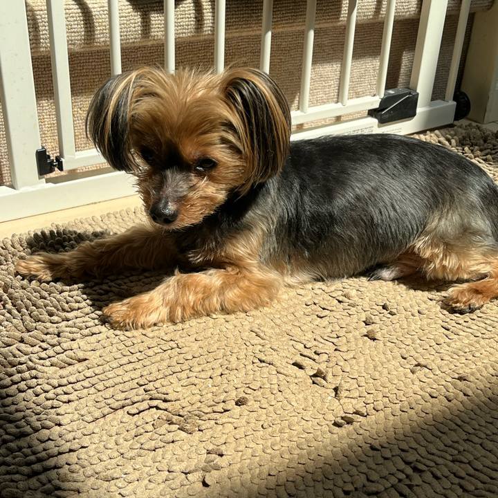 F805a7c2 daca 4f10 851e 54fce8ffd87f 1713058825165