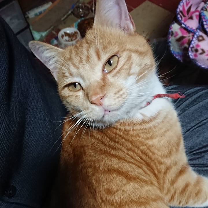 F805b53b 6374 4d4a 9c85 d4ba88d5d819 1576056075879