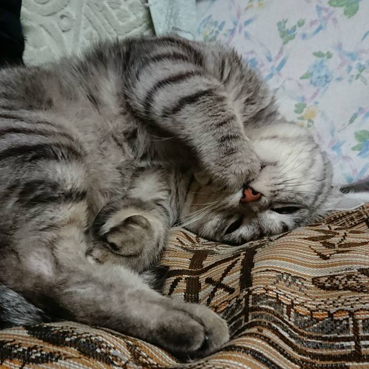 F805cc7b b4f0 4f4d be05 9dc3228da55f 1551181662222