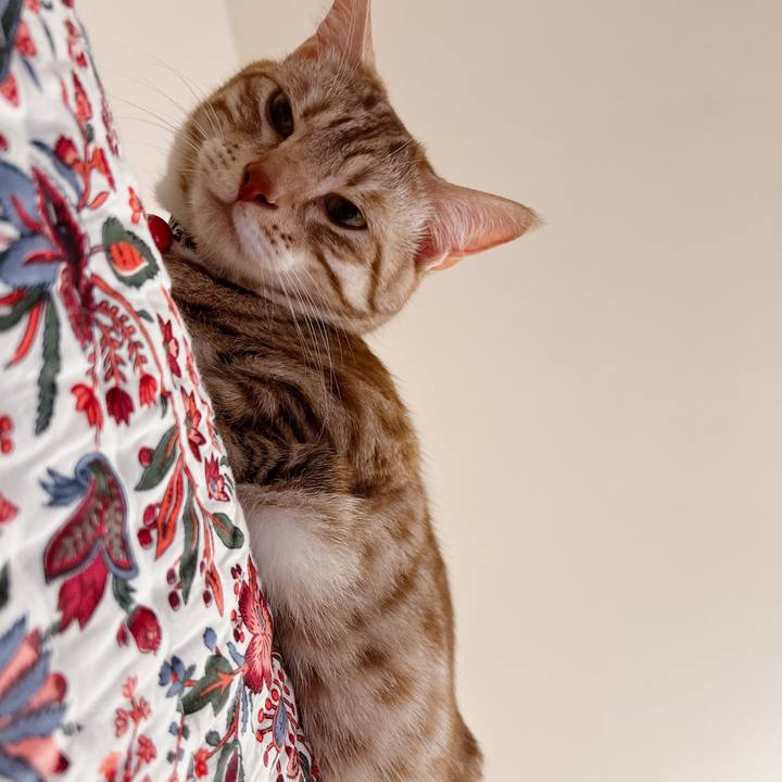 F805e3b3 078a 43fa a8ce ba18559f8ee6 1655719751386