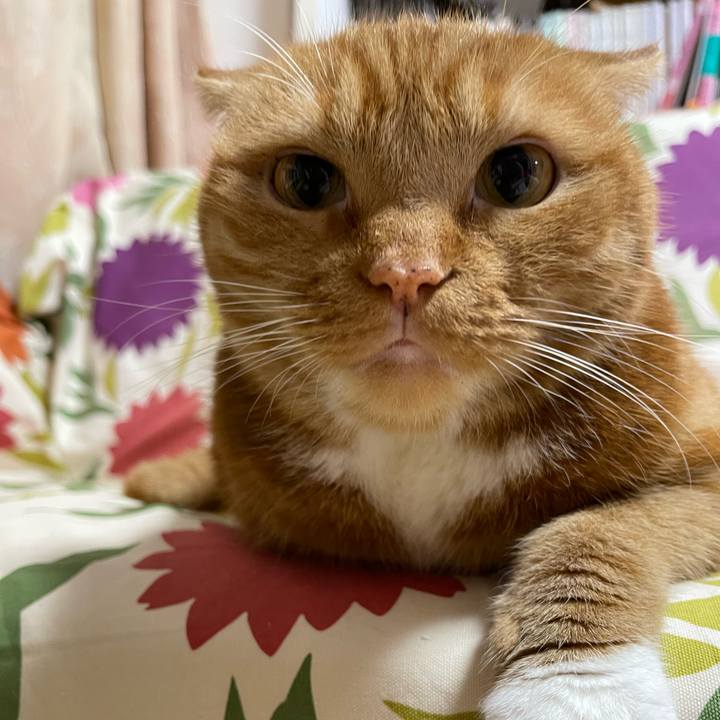 F805f61b a4c3 4f8e 966d ea46fb2c97dc 1658664227727