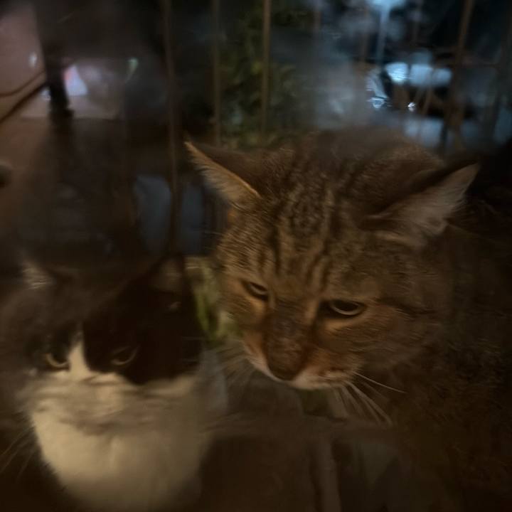 F8061ab5 5ba5 4cb0 85b3 4b6ff08198a4 1767191950303