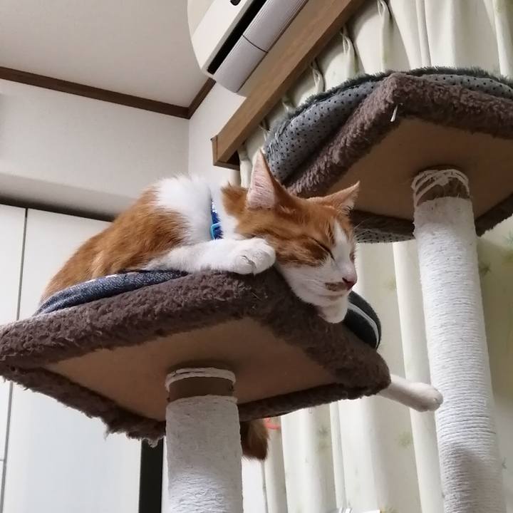 F8063b94 090c 4f90 ae39 e4a85c21548f 1587213943395