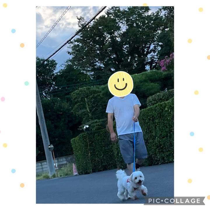 F8065bb2 5bed 4a36 b930 38eedb729eb7 1691890580536