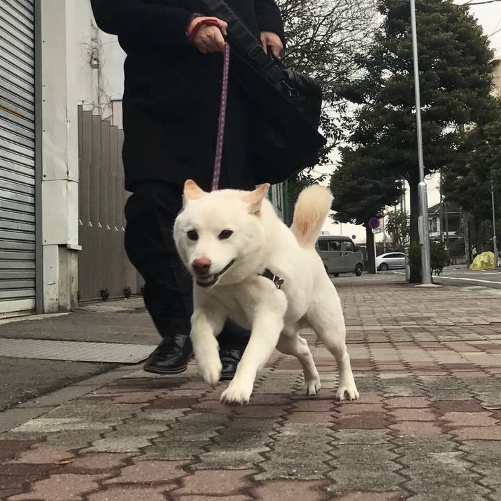 F80695a3 afeb 4cf8 9c9f 9f00c2e521c2 1519342386619