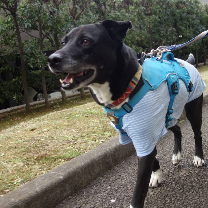 F806d5e0 eb27 4c68 a3c8 1b9879adaee1 1703728133964