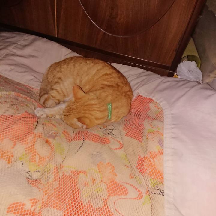 F8071bfb f829 4e90 9448 86721d3dc527 1585666053888