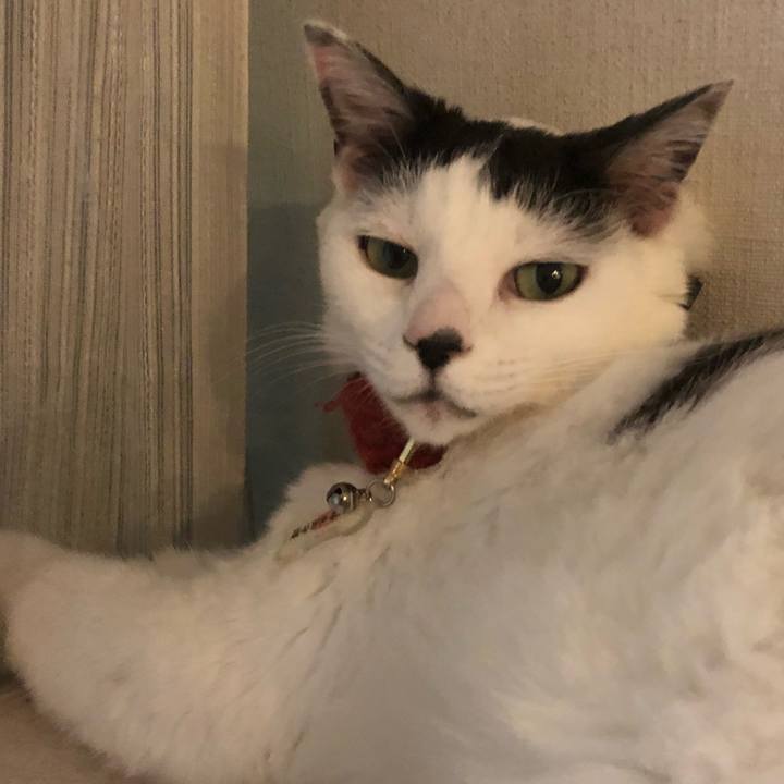 F80732bc 12be 4949 bf83 98cd68274097 1526998417257