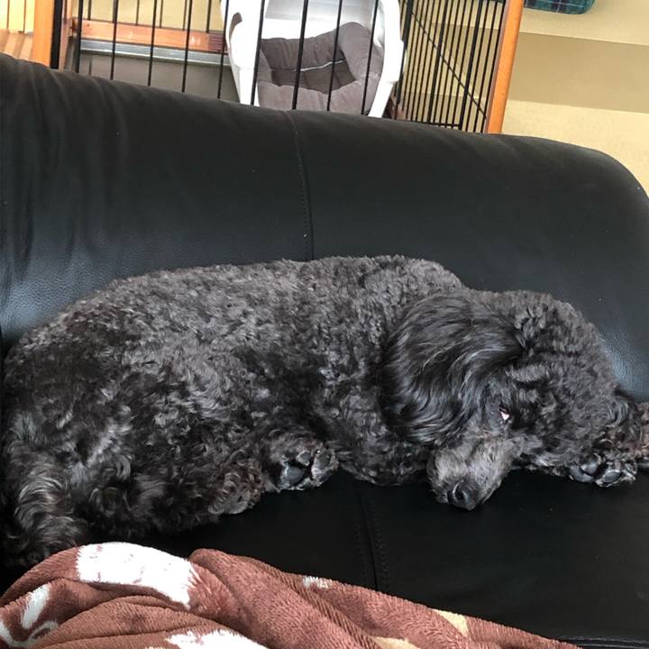 F80742ad 8549 451b ace6 12d5e0816b62 1588512459136