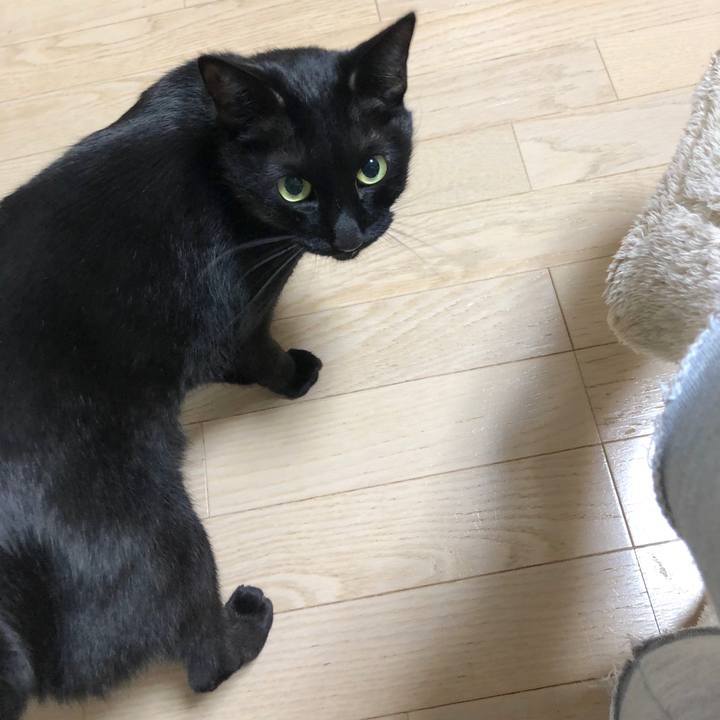 F80771f2 b848 45b4 9f7f 95b5a8d4ef33 1585741714799