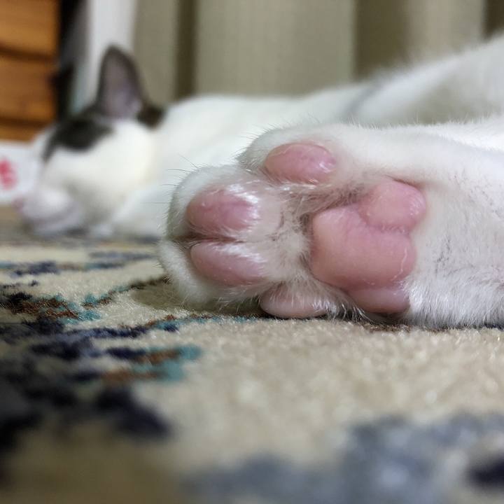 F8079872 267b 4428 9f3f c37d3ae36292 1628514012449