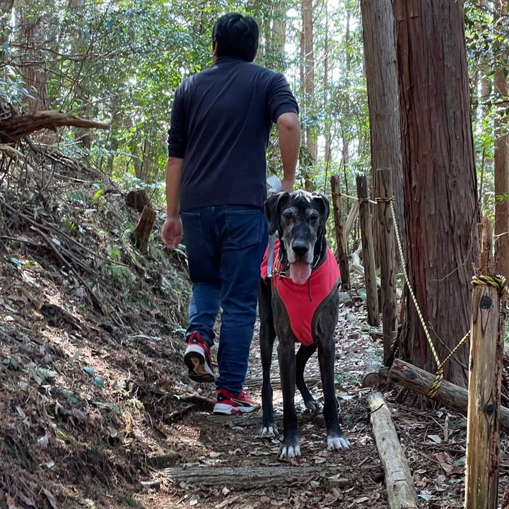 F8079cb5 58f8 4d74 8911 6c81e86cbe29 1615699011377