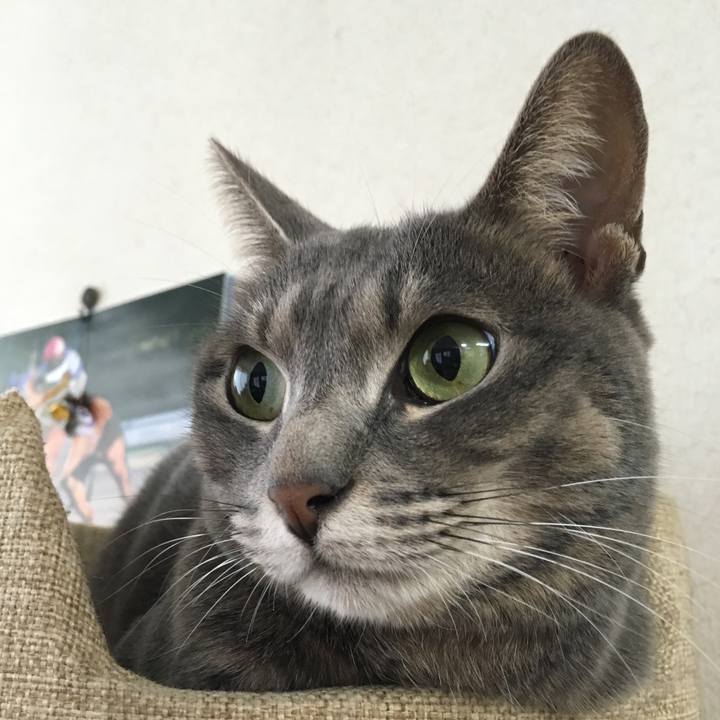 F8079f26 c5ce 4dc1 b592 cfebf0df5f66 1545611286720