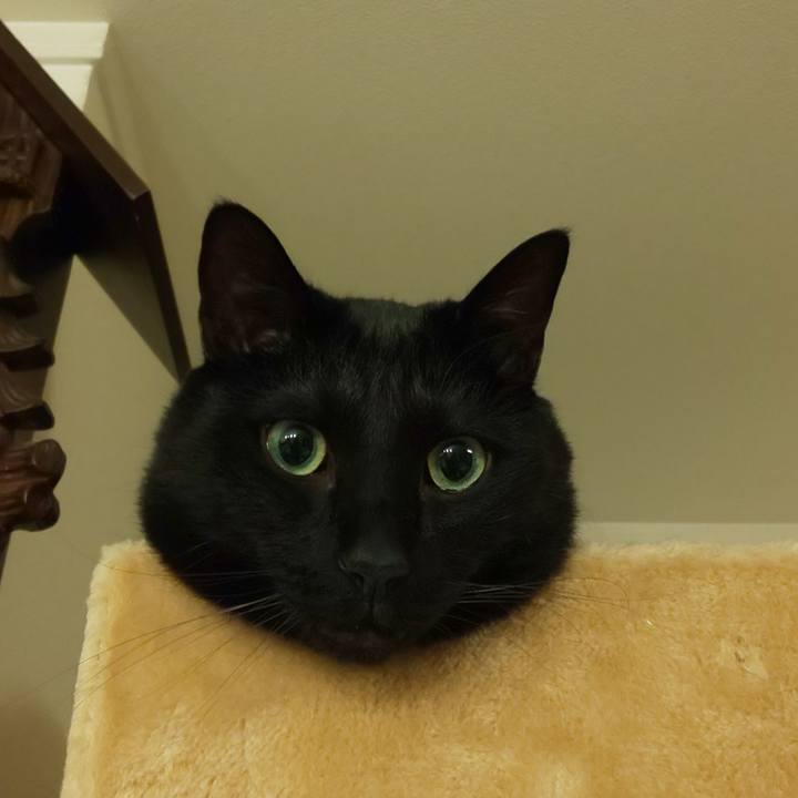 F807a021 037c 4267 a167 756860e211ea 1621949384523