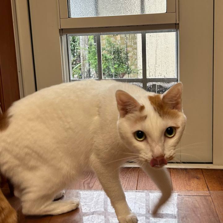 F807b004 b252 472b a276 d0effe2d153a 1688941094029