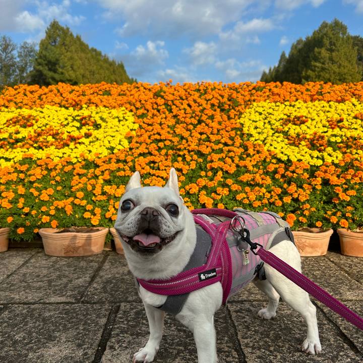 F807c119 9479 4193 a53e d23f05b66257 1730692590352