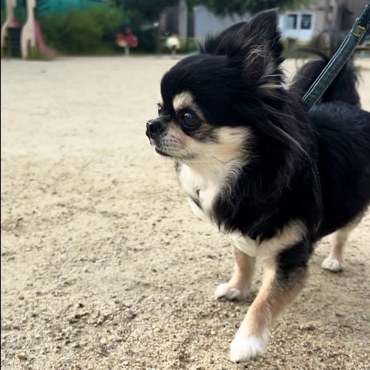 F807c479 2d5f 40b0 8ee4 9184cf306a14 1726192644382