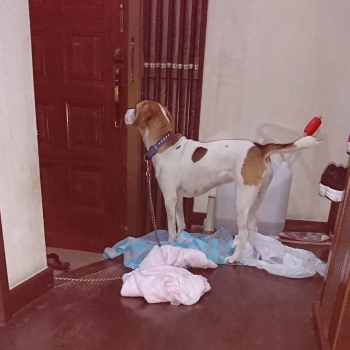 F807e926 f6e7 4d0c 9eb5 b026fde04bea 1568978339118