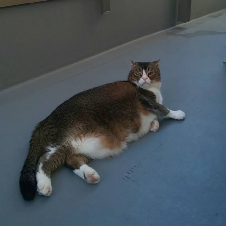 F807efde 92ed 4550 a083 1c10ca928b11 1696027351528