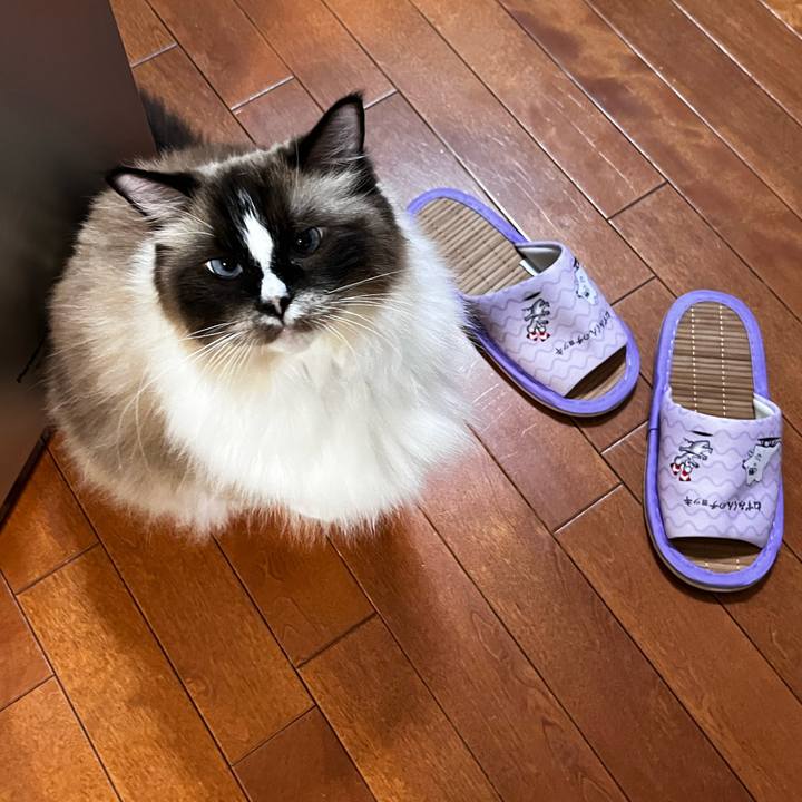 F80816fe 3a09 4024 aa25 99adf98a7dd2 1692282497676