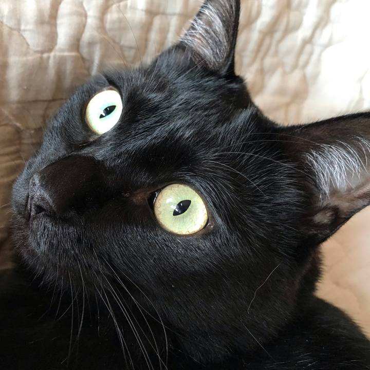 F80819fd 18b1 4dac aaa2 33316395eaa3 1670022786513