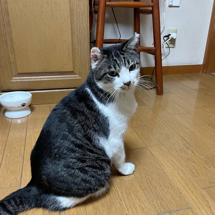 F8081d52 6e21 4a9c 8c2e bef77c38cc26 1700033887326