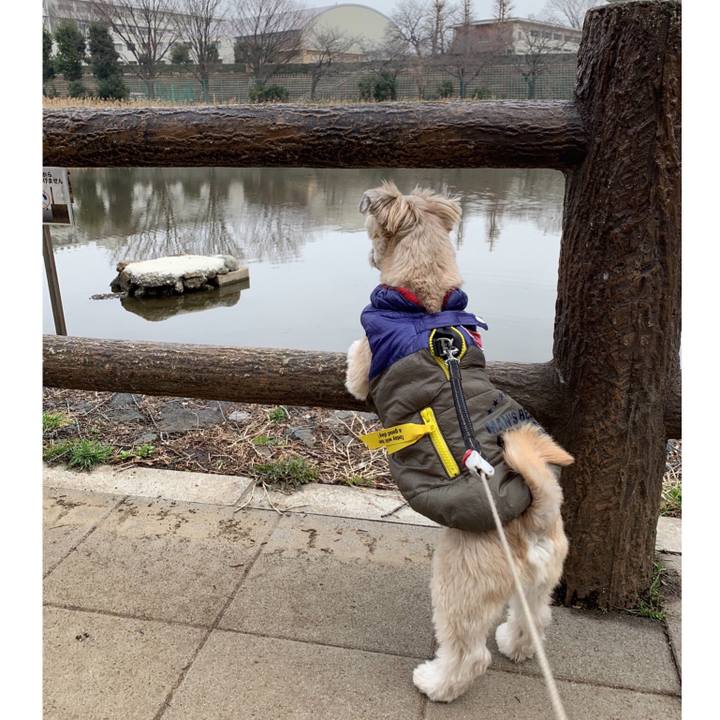 F8082448 5047 4bdc 8186 6145a01b4cbb 1551861511378