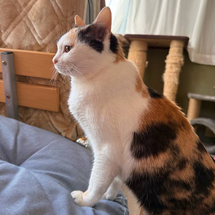 F80845d3 f8e0 493d 8884 a5c51337db3e 1773797204736