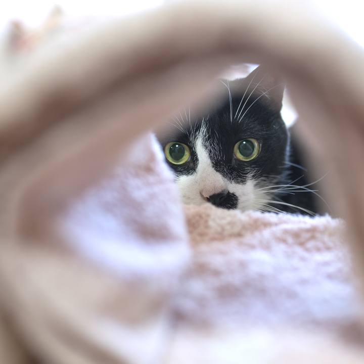 F8087e70 21d0 4cee a03f 020137cba38f 1534936277315