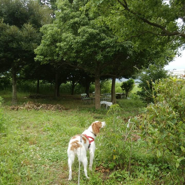 F8089de6 c5c8 452d bb49 71b4b8612ba0 1529397529246