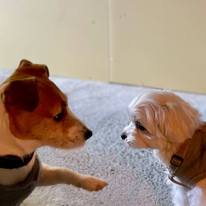 F808b925 a599 486a 9088 435e07a5dd9a 1765445098138