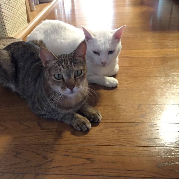 F808e209 6ff3 483d 812e 577d1c6fd2e6 1569106886970